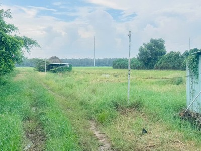 Bán gấp 9000m2 đất nn xuân thới thượng 2, bà điểm, hóc môn. 22.5 tỷ. 2