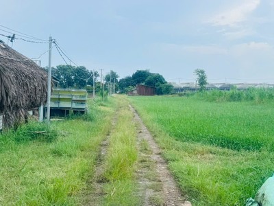 Bán gấp 9000m2 đất nn xuân thới thượng 2, bà điểm, hóc môn. 22.5 tỷ. 3
