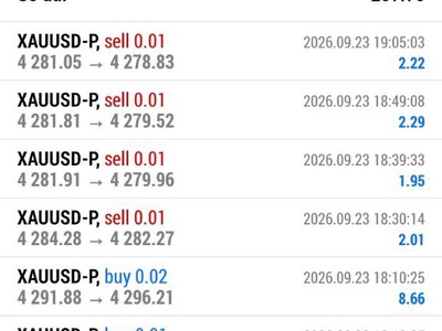 Robot Forex tự động Hỗ trợ cài đặt miễn phí 2