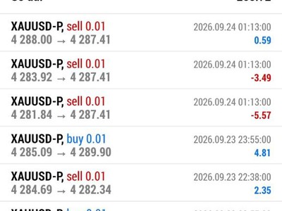 Robot Forex tự động Hỗ trợ cài đặt miễn phí 1