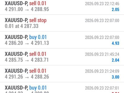 Robot Forex tự động Hỗ trợ cài đặt miễn phí 0