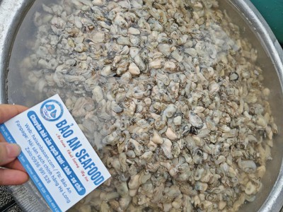 SẴn ruột hà sú béo ngon 0