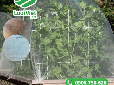 Lưới chắn côn trùng, Lưới che chắn cây trồng, lưới HDPE màu trắng 3