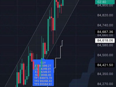 Alpha One hỗ trợ phân tích dữ liệu thị trường 3