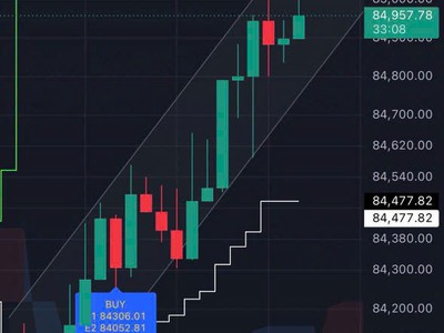 Alpha One hỗ trợ phân tích dữ liệu thị trường 4
