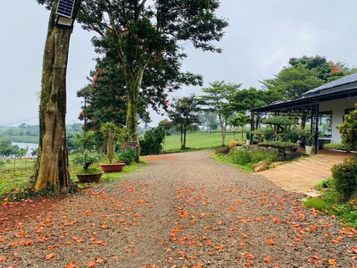 Đất vườn nghỉ dưỡng Lộc Tân - Lý Thái Tổ Giá chỉ 800 Triệu cho 500m2 0