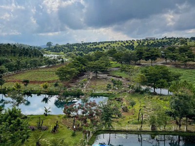 Đất vườn nghỉ dưỡng Lộc Tân - Lý Thái Tổ Giá chỉ 800 Triệu cho 500m2 7