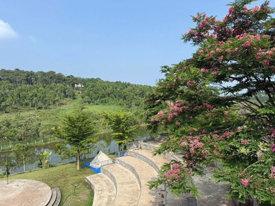 Đất vườn nghỉ dưỡng Lộc Tân - Lý Thái Tổ Giá chỉ 800 Triệu cho 500m2 8