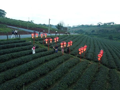 Đất vườn nghỉ dưỡng Lộc Tân - Lý Thái Tổ Giá chỉ 800 Triệu cho 500m2 12