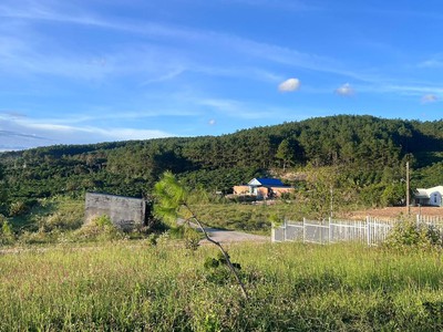 Cần Bán Đất 143m , 93m Đất Ở, 2 Mặt Tiền, Thế Dương, View Thông 1