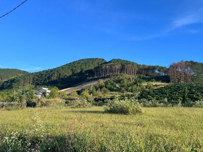 Cần Bán Đất 143m , 93m Đất Ở, 2 Mặt Tiền, Thế Dương, View Thông 2