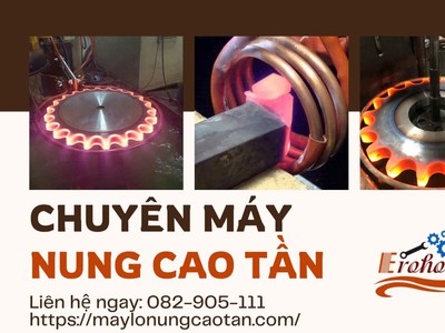 Máy nung cao tần 1