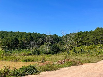 Cần Bán Đất 309m , 209m Đất Ở, 2 Mặt Tiền, Giữa Đồi Thông 2