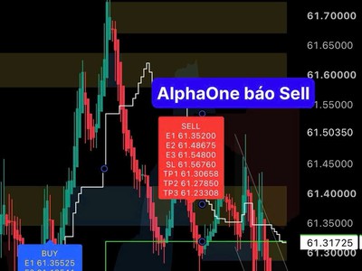 Alpha One công cụ hỗ trợ phân tích dữ liệu thị trường 4