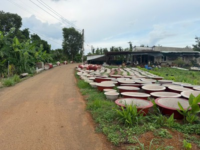 Đất giá chỉ 520 triệu sổ sẵn, công chứng ngay 3