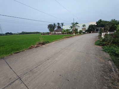 Bán lô đất lúa chuyển thổ đường bê tông 6m giá 1,2tỷ 3