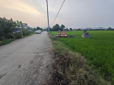 Bán lô đất lúa chuyển thổ đường bê tông 6m giá 1,2tỷ 4