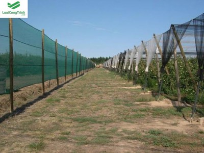Lưới chắn gió HDPE, lưới che chắn HDPE 3