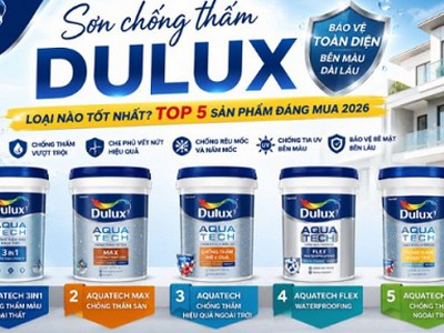 Cùng Nhà Việt Group tìm hiểu ưu điểm nổi bật của sơn chống thấm Dulux 0