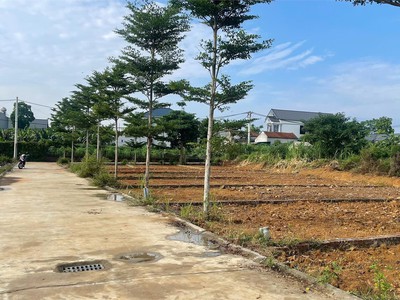Bán đất làn 2 phú cát  hòa thạch  100m2 full thổ, gần đường dh09 giá 2,3 tỷ. 1