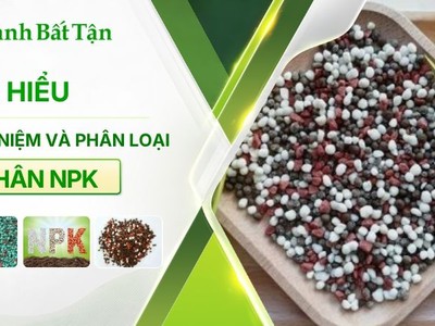 Tìm hiểu phân NPK là gì 0