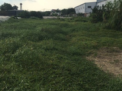 Chính chủ bán gấp 2.779M đất Hóc Môn giá chỉ 20 TRIỆU/M 3