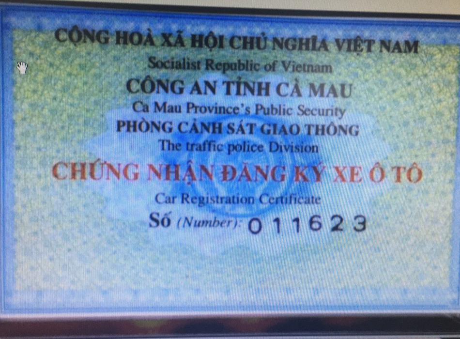 Ảnh số 19