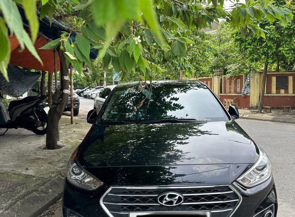 Ảnh số 7