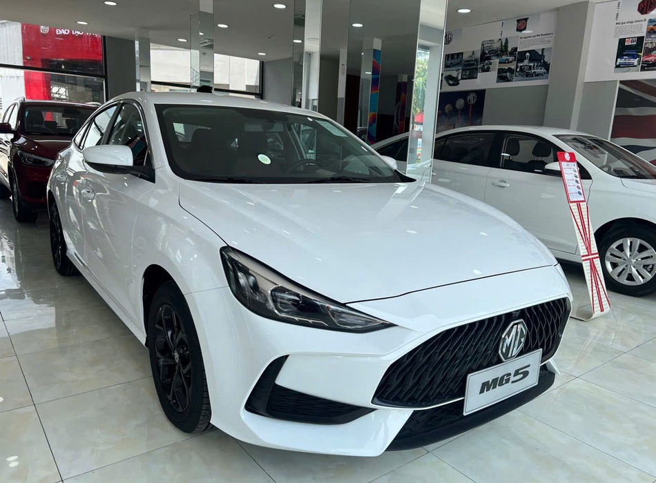 Ảnh số 17