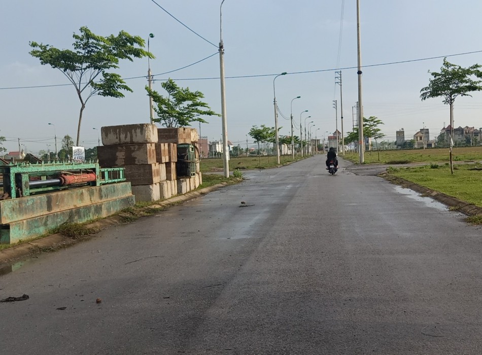 Ảnh số 269